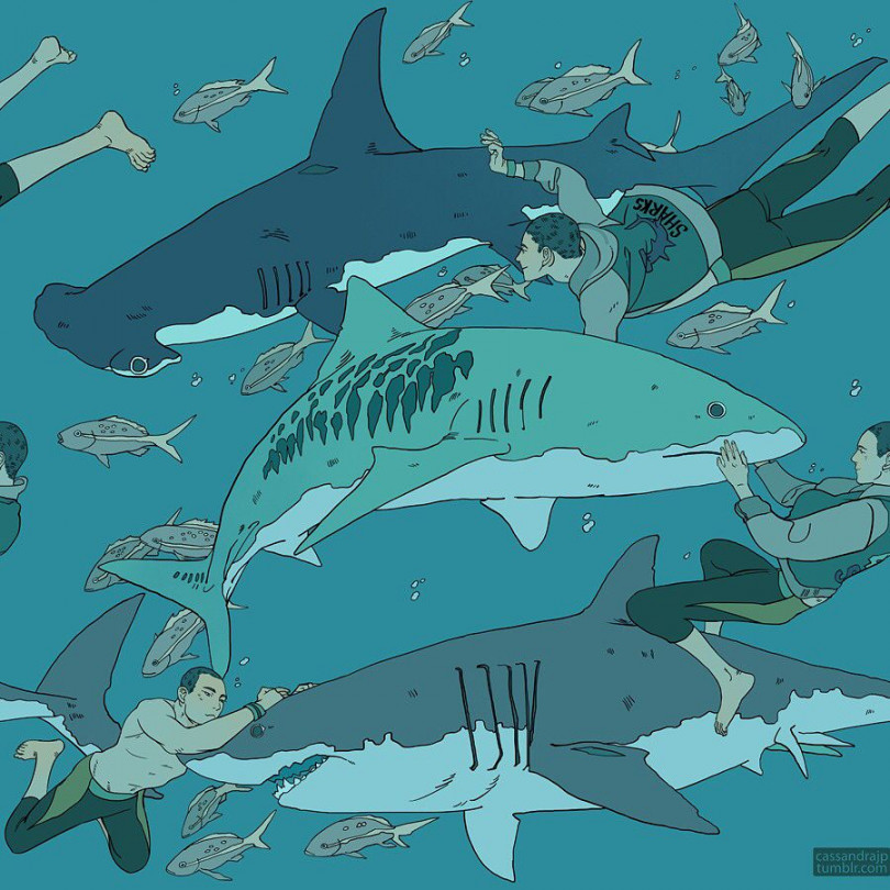 Cassandra Jean on Instagram: “Sharks!”  Shark art, Character art