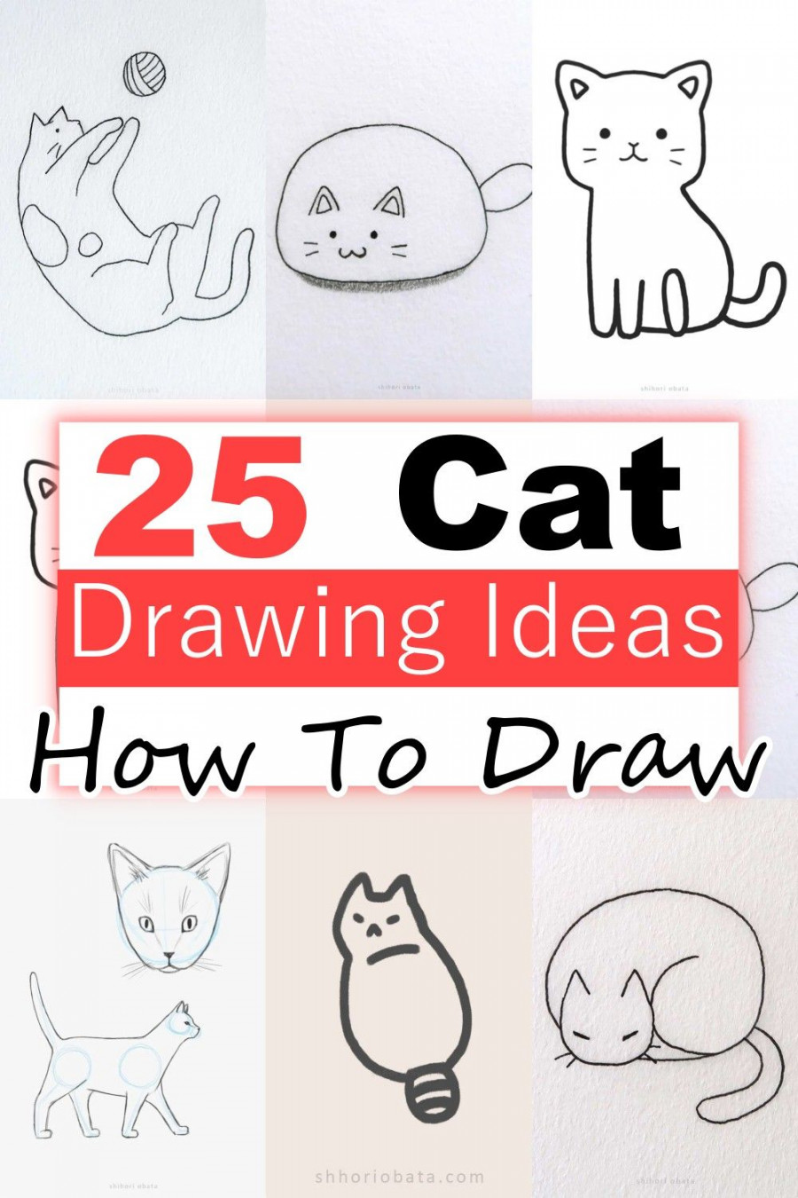 Cat Drawing Ideas Step By Step in   Cat drawing, Drawings