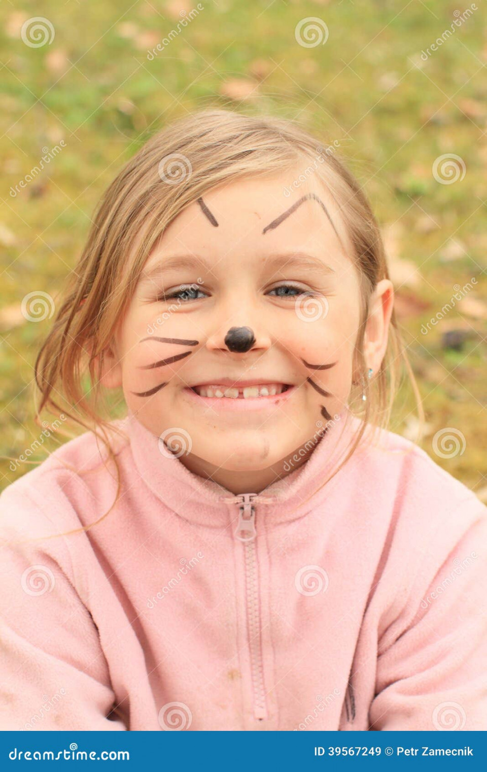 Cat Face Drawings Stock Photos - Free & Royalty-Free Stock Photos