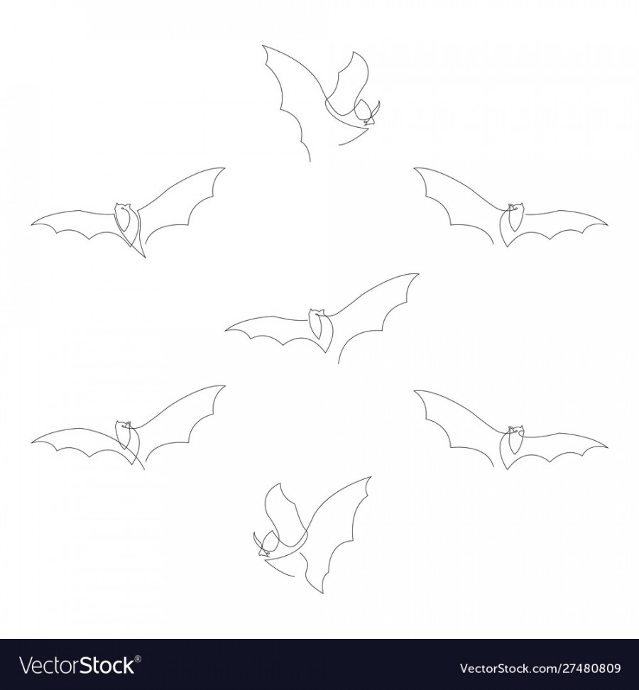 Continuous one line bat drawing set halloween Vector Image