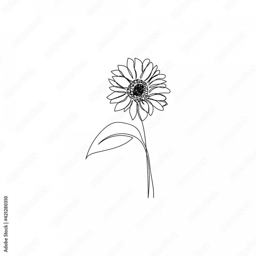 Continuous one line drawing of sunflower. Minimalist art