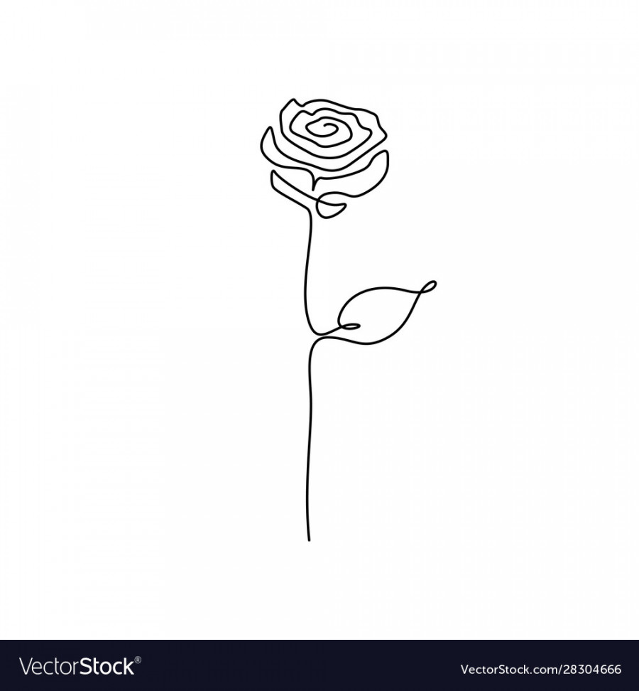 Continuous one line drawing rose flower Royalty Free Vector