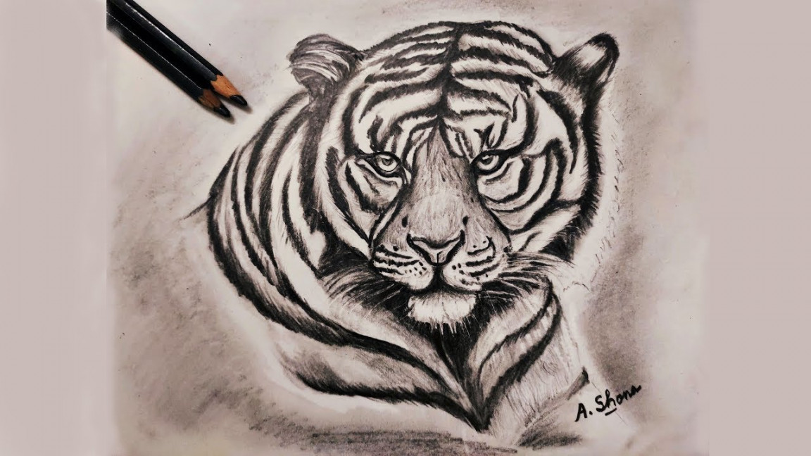 Create a Majestic Tiger Drawing with Pencil - Step-by-Step Tutorial for  Beginners