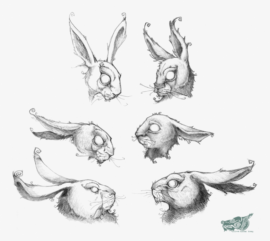 creepy rabbit drawing - Google Search  Rabbit drawing, Rabbit art