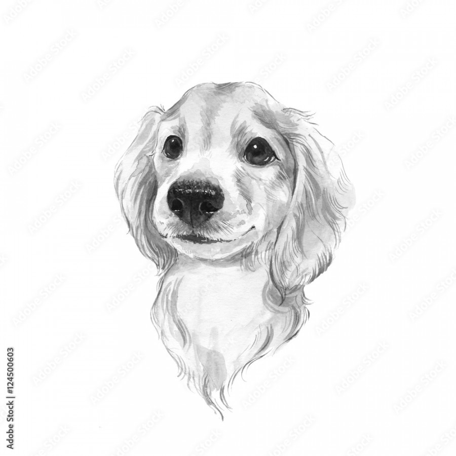 Cute dog sketch. Hand painted