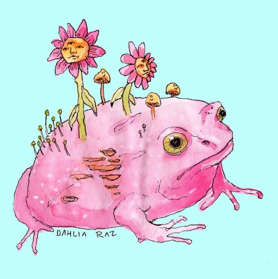 Dahlia Raz on Instagram: “I love this thick frog so much