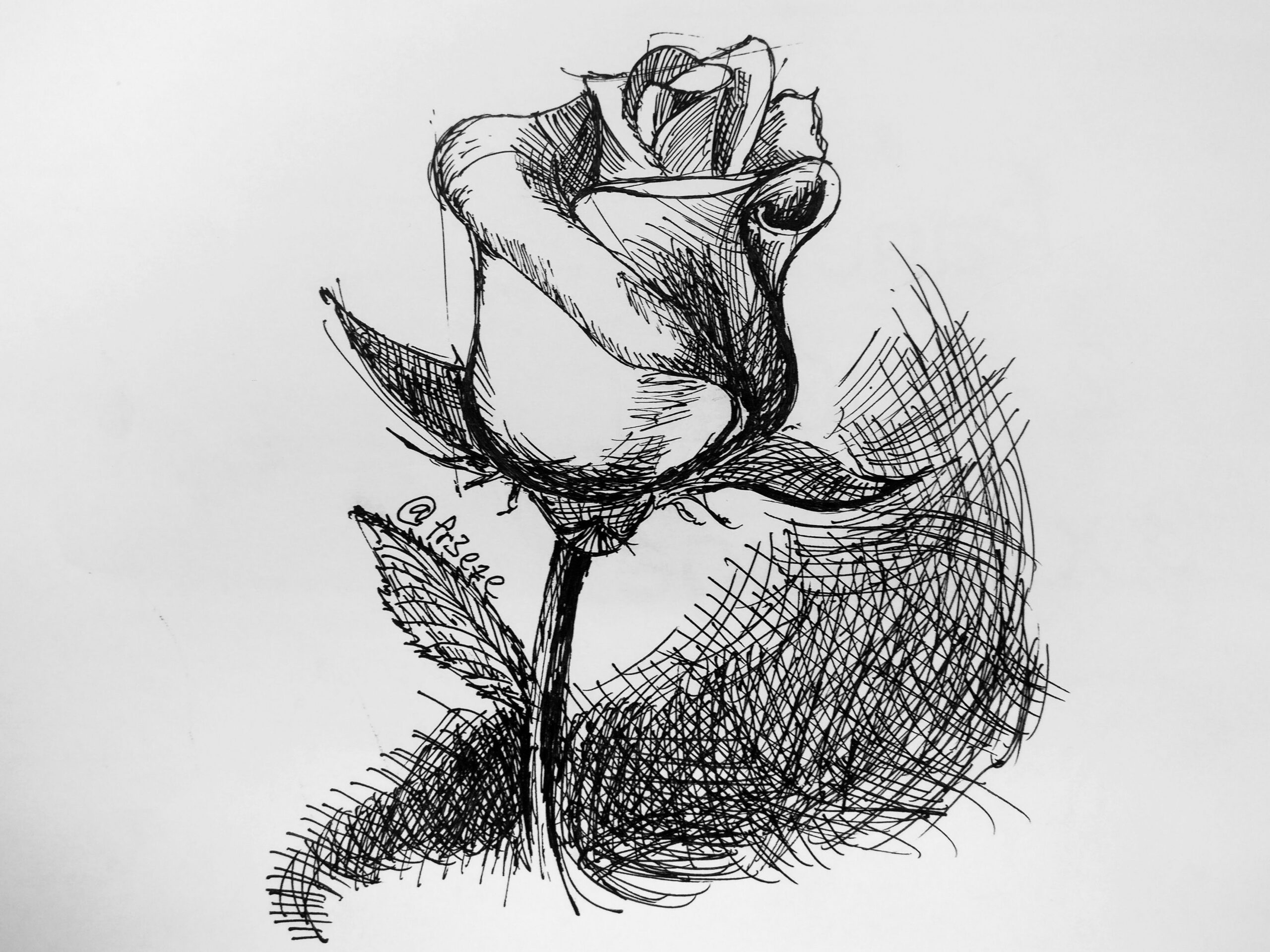 dailysketch #: Flower! — Steemit