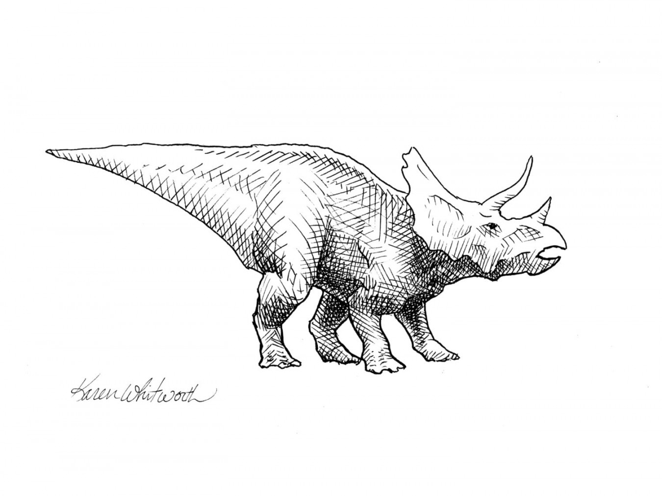 Dinosaur Wall Art Print Triceratops Dinosaur Drawing Dinosaur