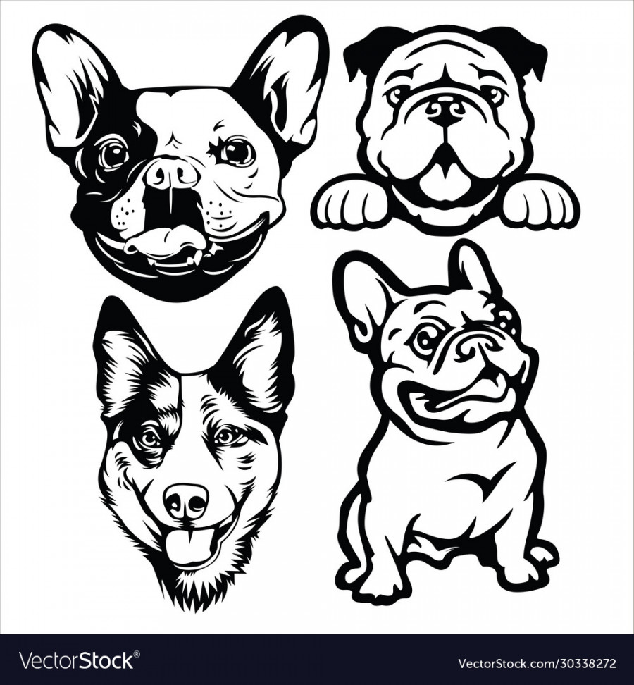 Dog head logo mascot annimal drawing Royalty Free Vector