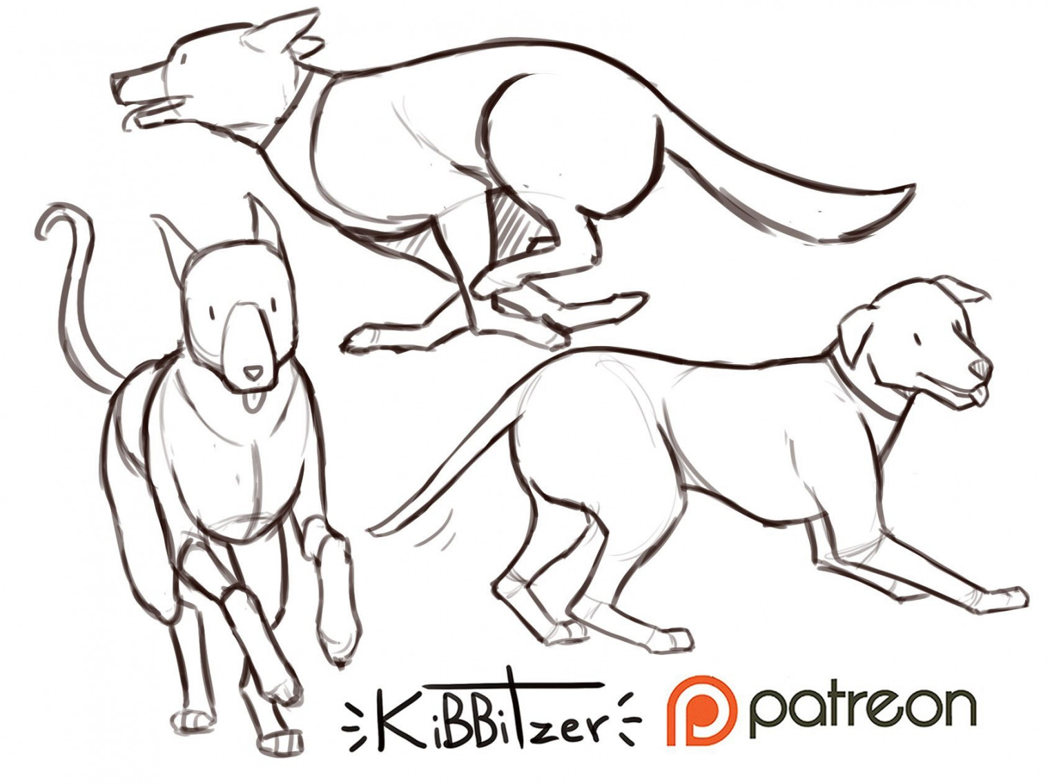 Dogs reference sheet -PREVIEW-  Kibbitzer  Dog drawing, Dog