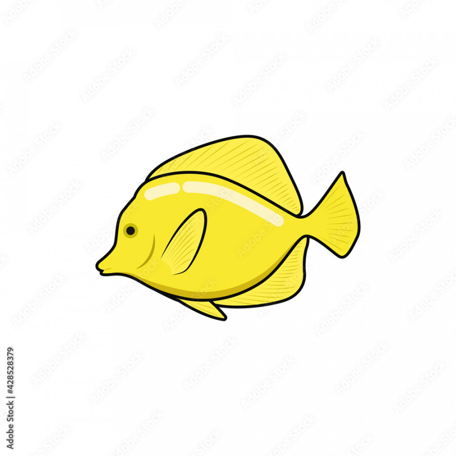 Doodle illustration yellow tang fish vector graphics Stock