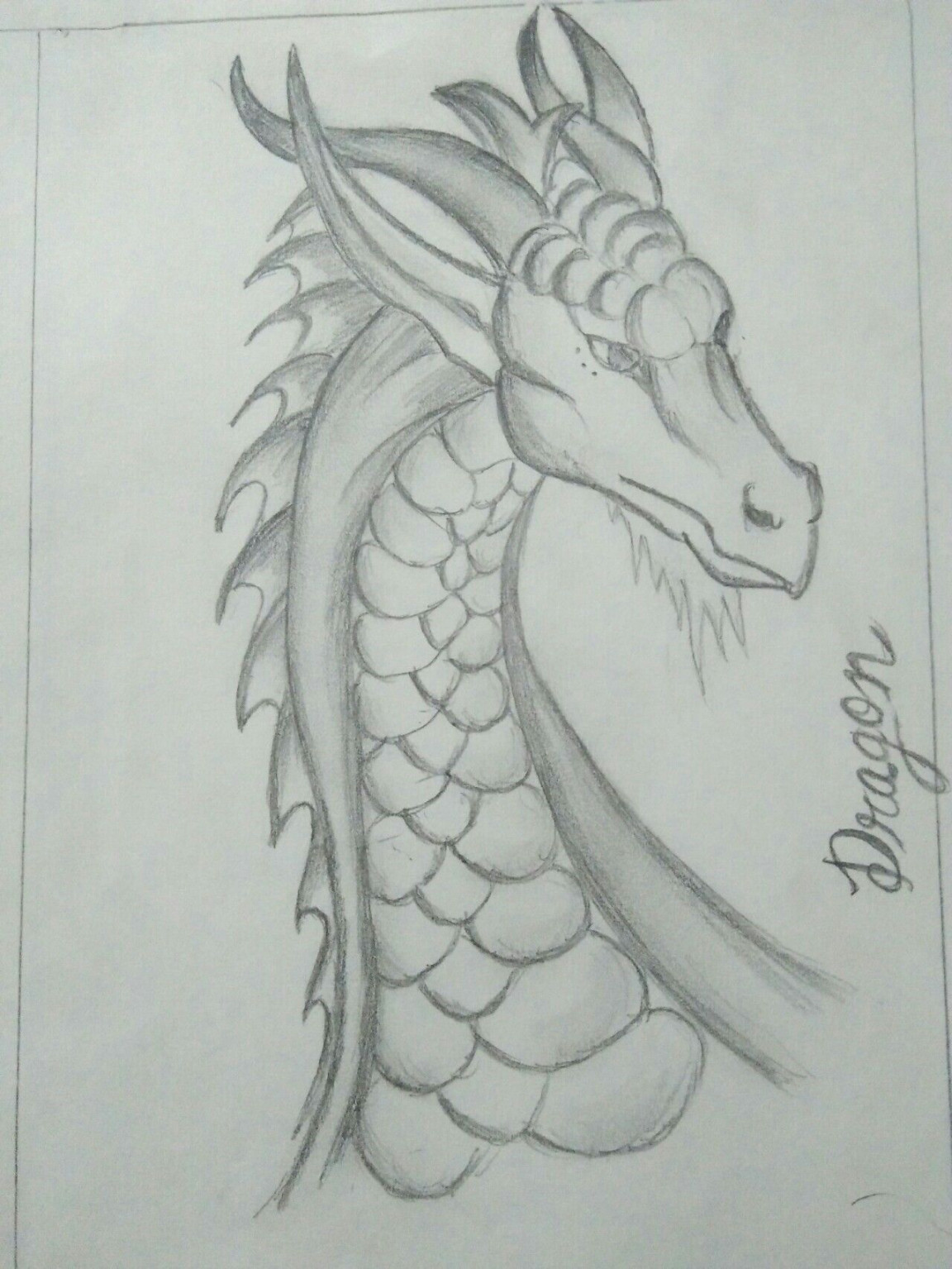 Dragon drawing  Drawing Tips, Drawing Ideas, Dragon Art, To Draw