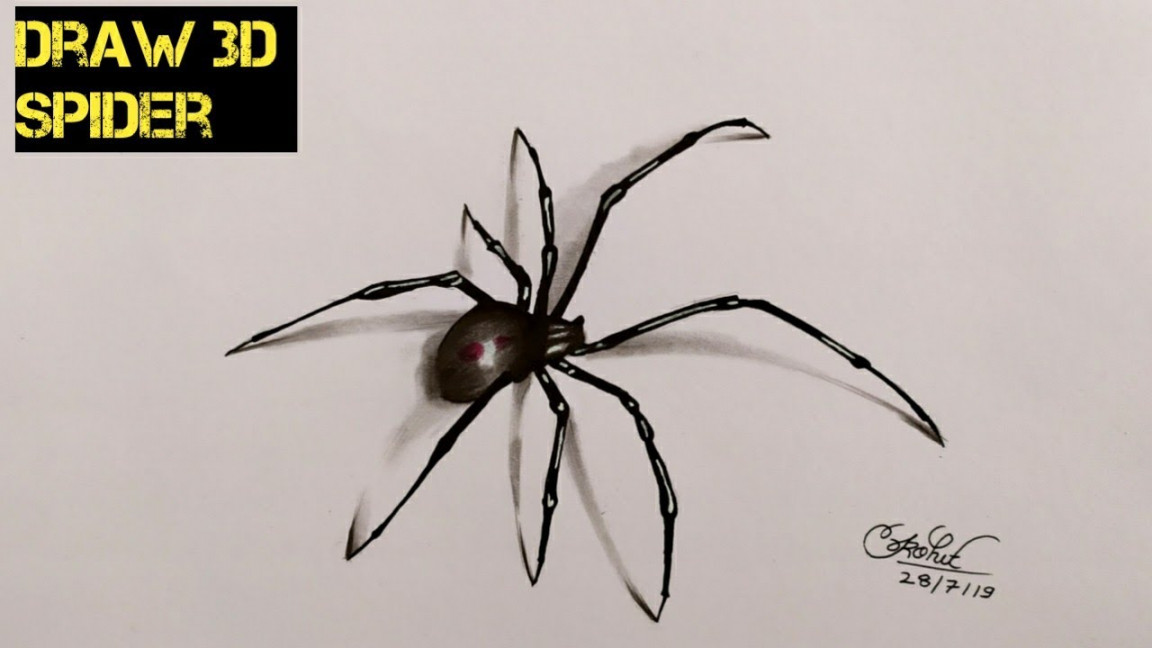 Draw d Spider How To Draw Realistic SpiderD DRAWING TRICK