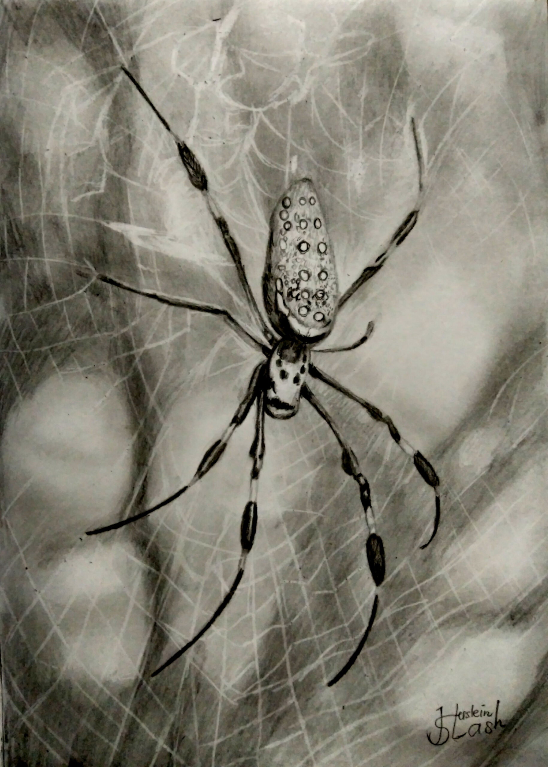 Draw it Better Contest #- Spider - Realistic Drawing With Pencil