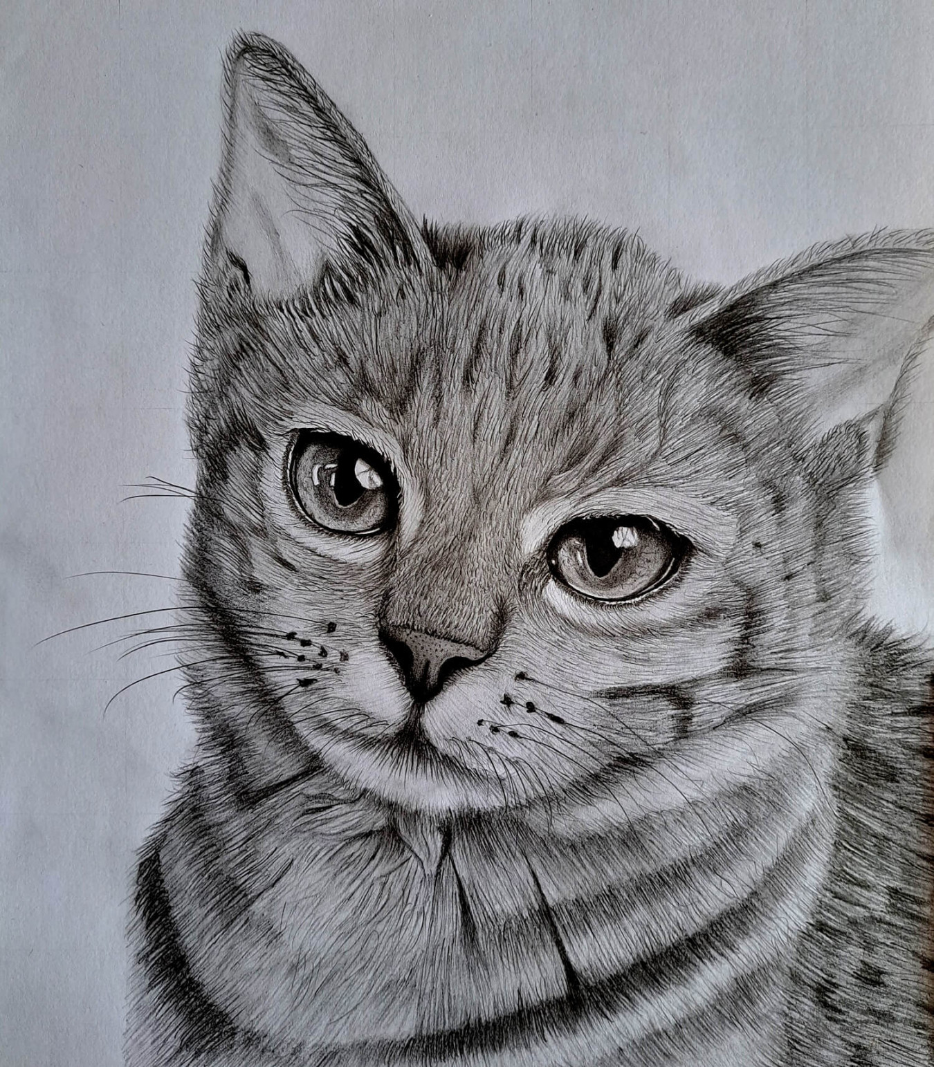 Drawing a Cat