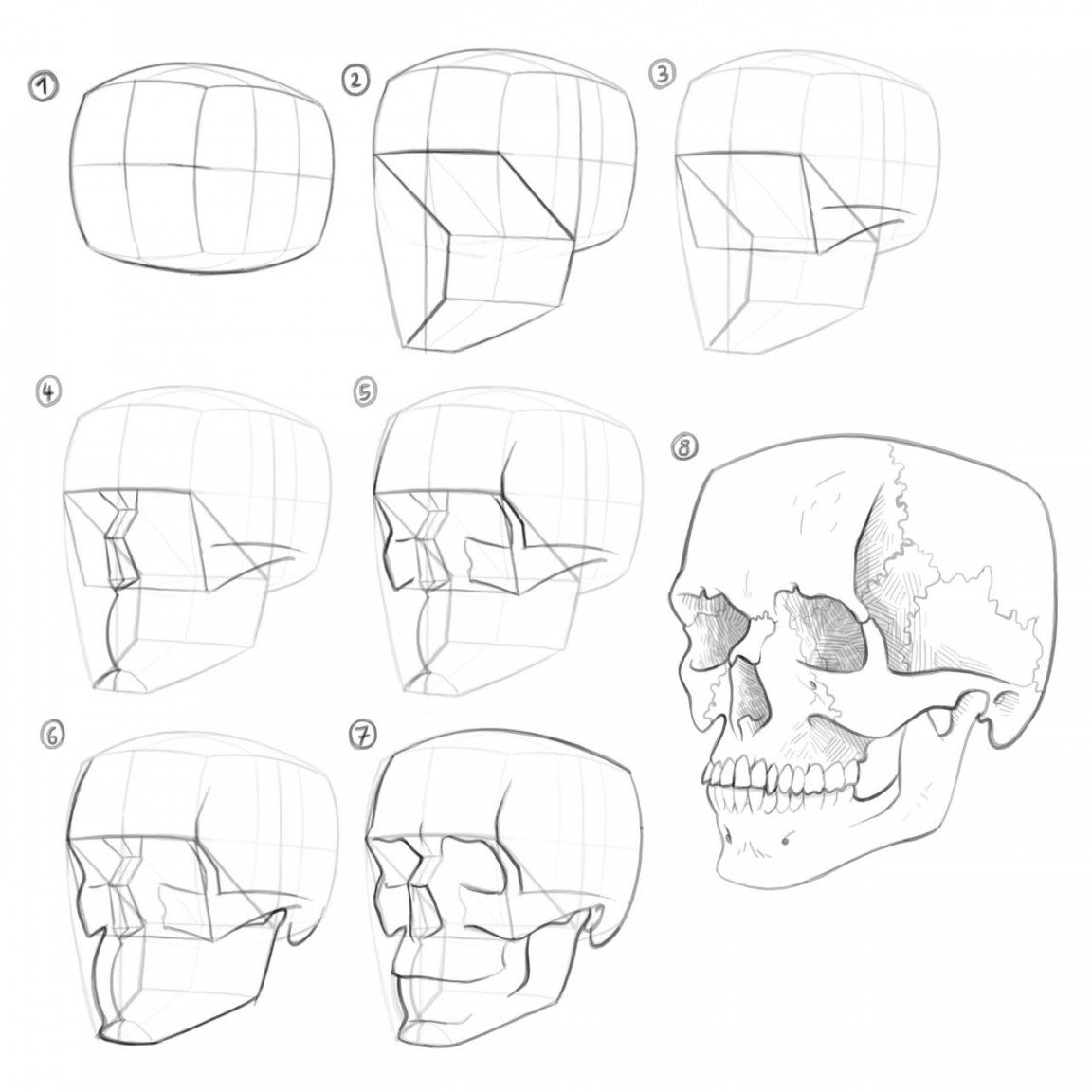 Drawing a three quarter view of the Skull by gregor-kari on DeviantArt