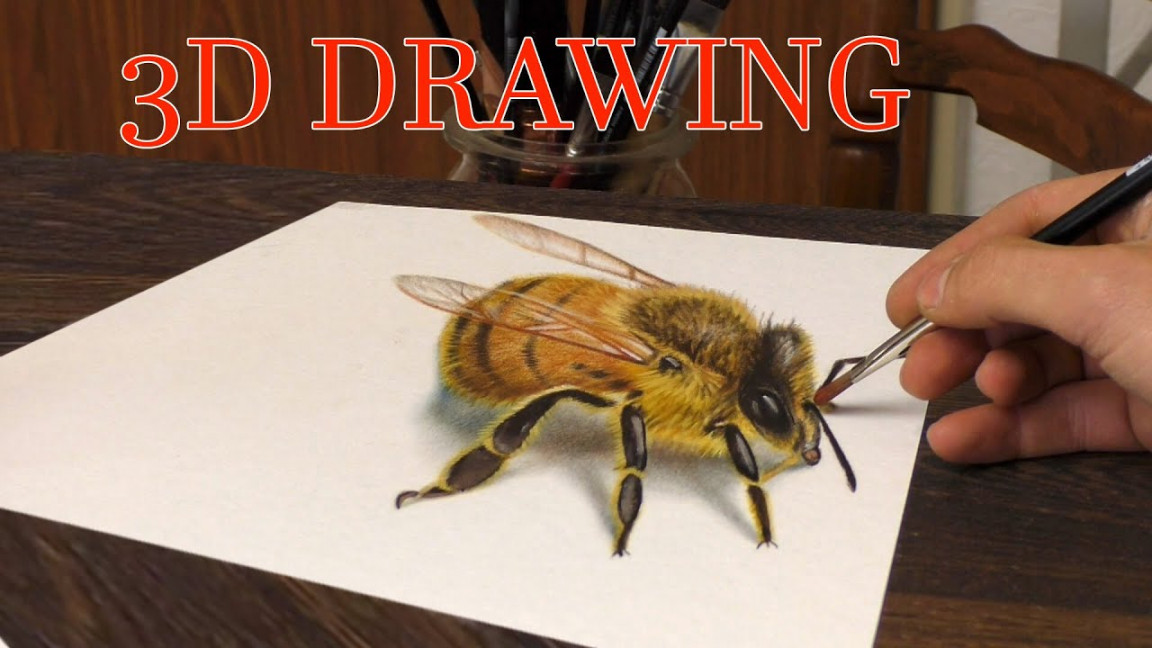 Drawing of a BEE in D/ Your Choise