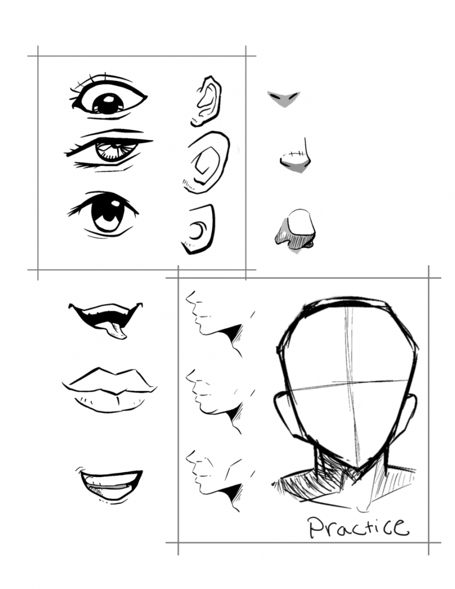 Drawing reference sheet for beginners