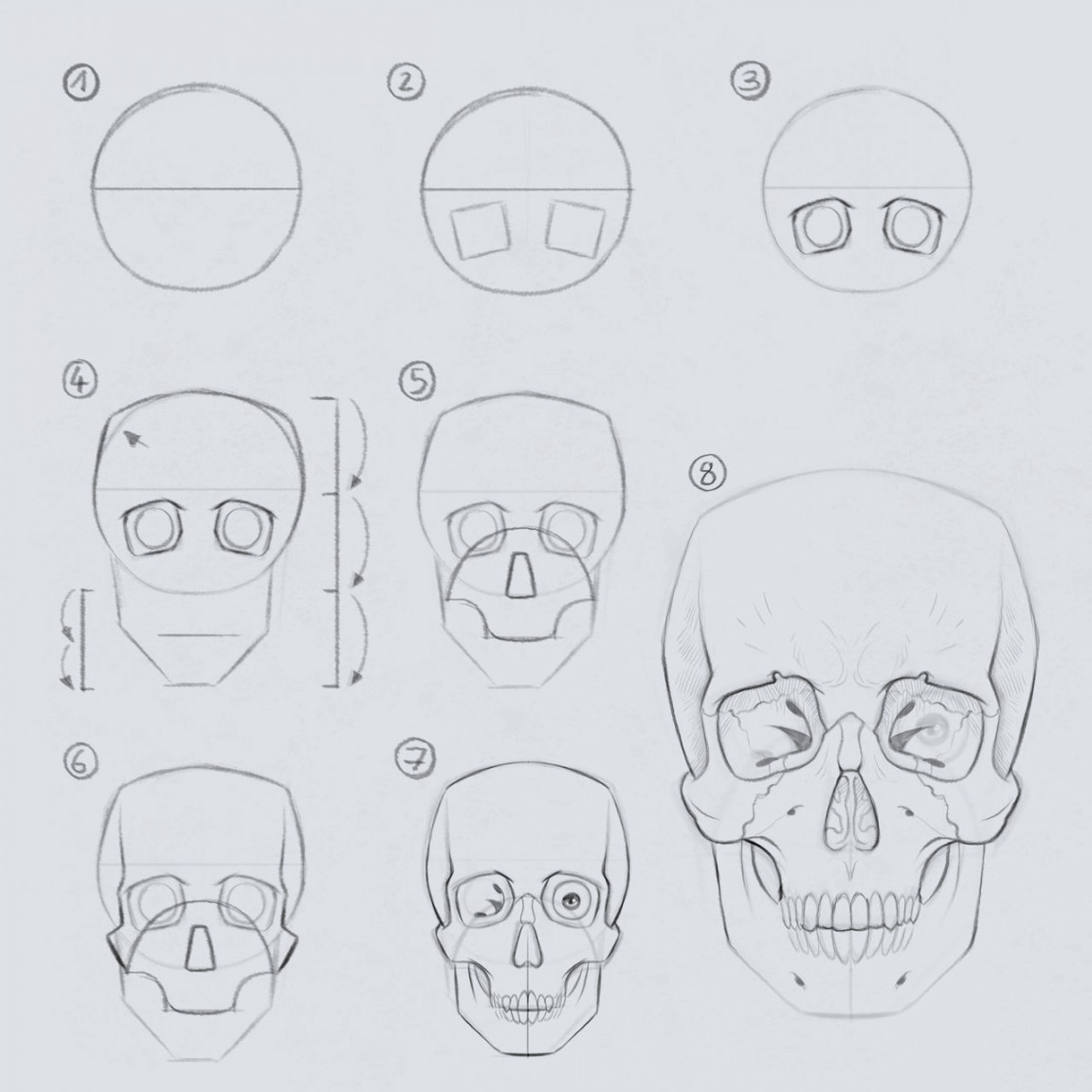 Drawing the Skull in  to  steps by gregor-kari on DeviantArt