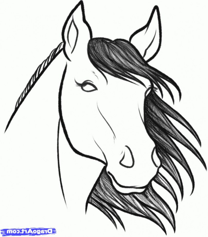 Easy To Draw Horse Head How To Draw A Horse Head, Stepstep, Farm