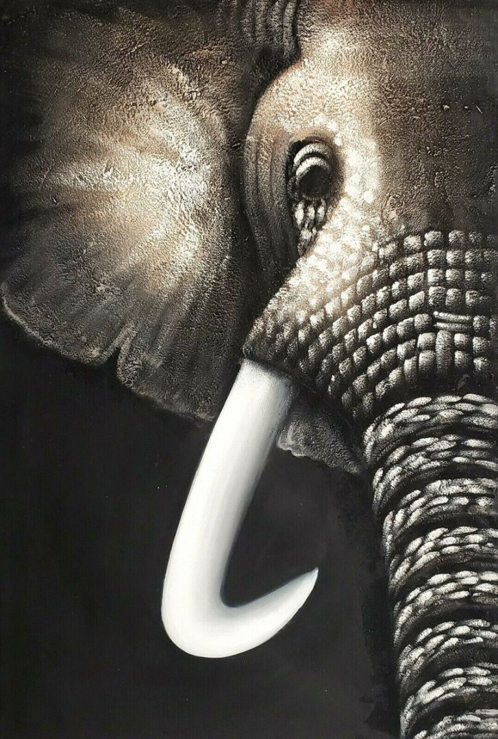 Elephant Half Face, x % Hand painted Oil Painting on Canvas