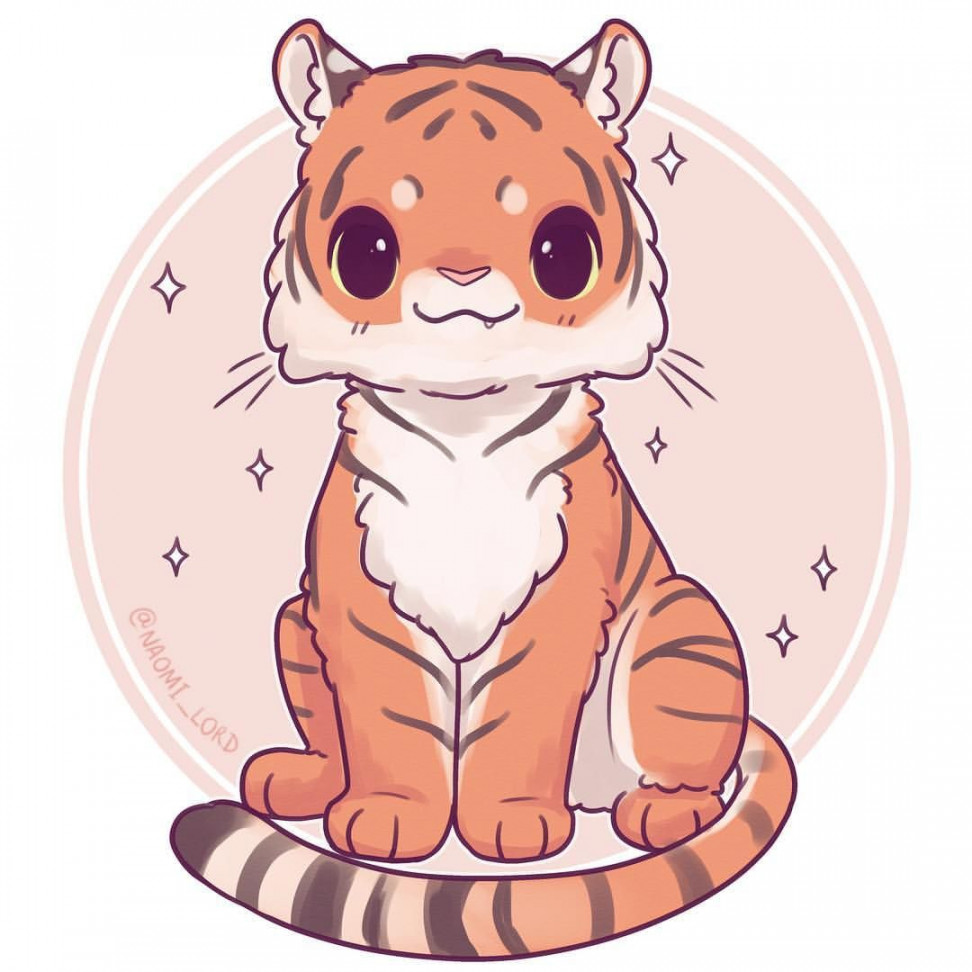 ✨endangered species series ✨ Tigers are amazing and many species