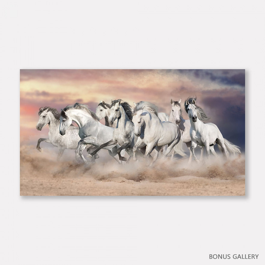 Feng Shui  Horses (B)  Bonus Gallery