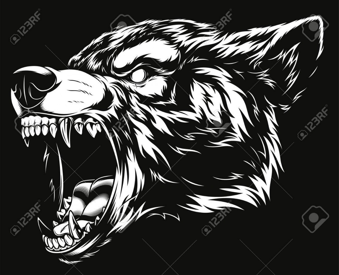 Ferocious Wolf Head Illustration