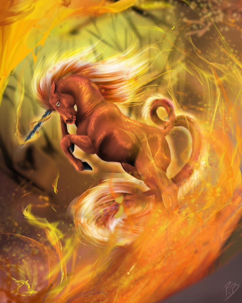 Fire Unicorn by Unicornsparkl  Unicorn pictures, Mythical