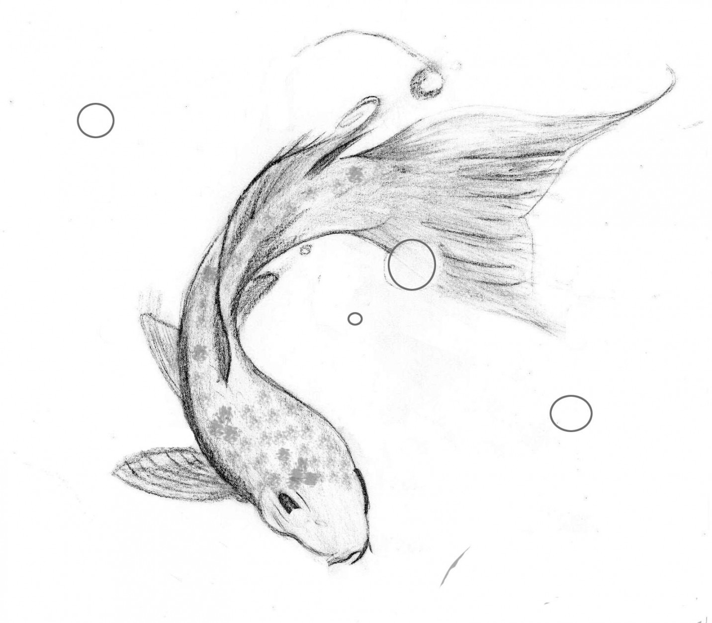 Fish ideas  fish drawings, fish, fish sketch