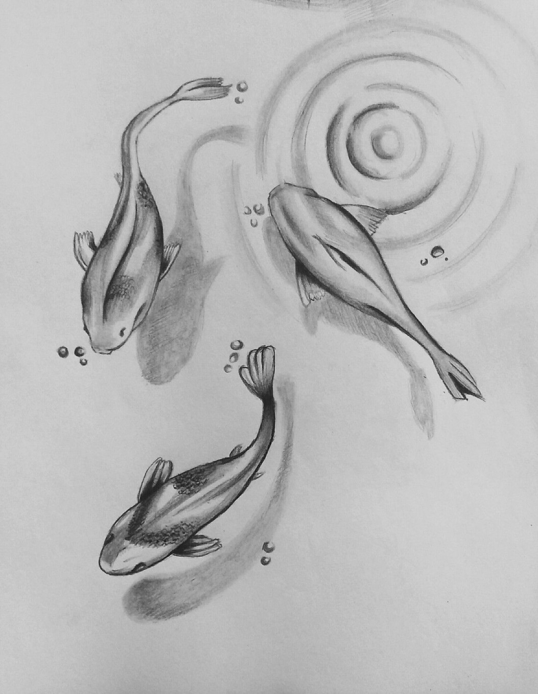 Fishes Pencil Drawing - #xolgaix  Pencil drawings of animals, d