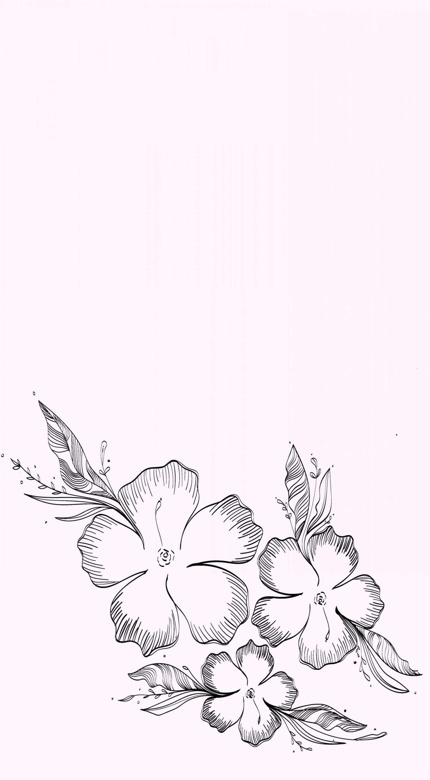 flower blooming wallpaper iphone  Flower drawing, Flower iphone
