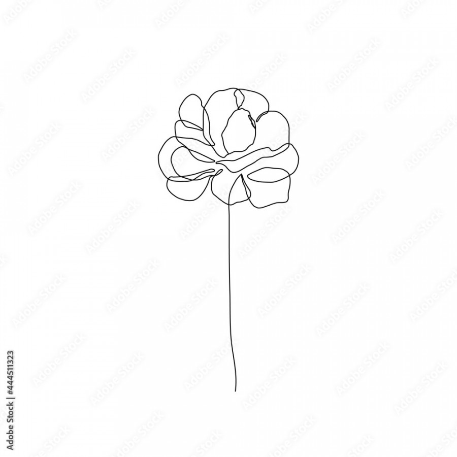 Flower Line Art Drawing. Floral Minimalist Contour Drawing