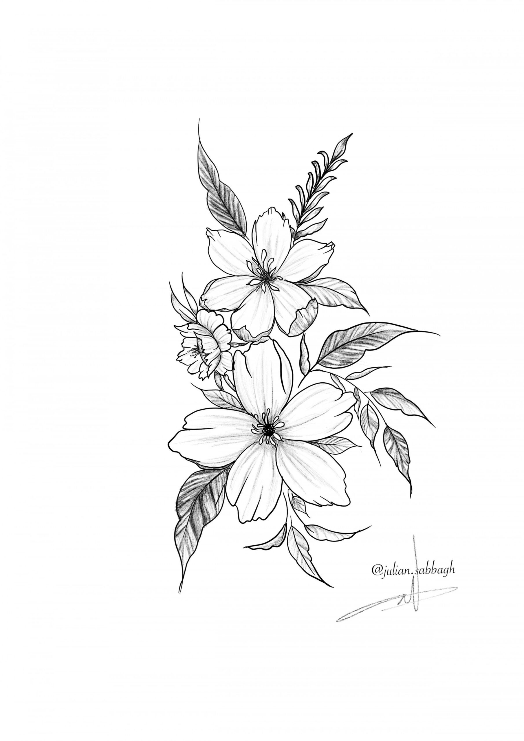 Flower sketch drawing  Flower tattoos, Flower sketches, Plant tattoo