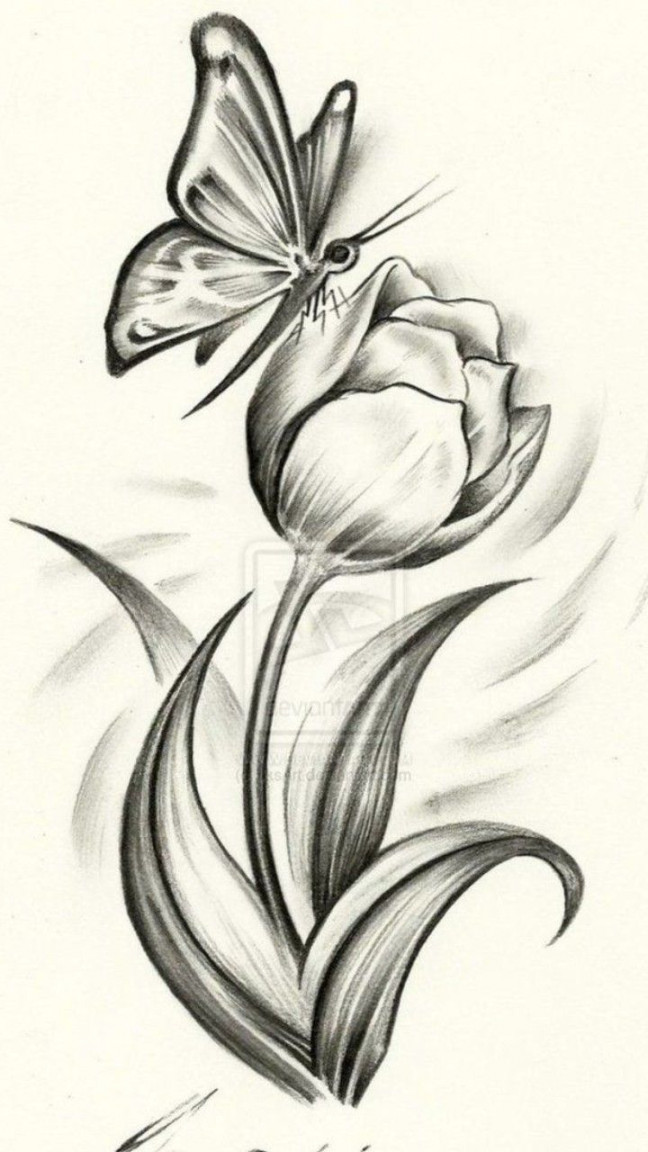 Flower with Butterfly  Pencil drawings of flowers, Flower art