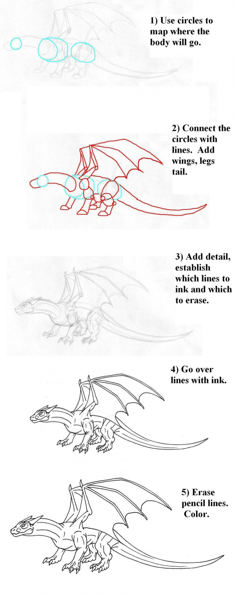 Four legged dragon tutorial by Scatha-the-Worm on DeviantArt