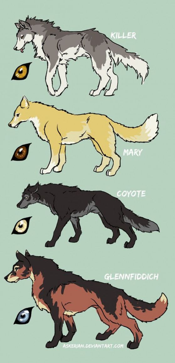 Four Wolfdogs  Dibujo de animales, Dibujo de lobo anime, Dibujos