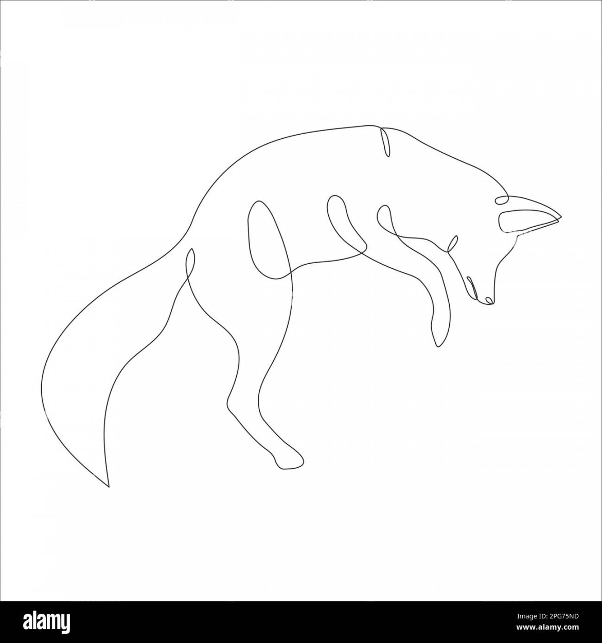 Fox in line art and abstract icon