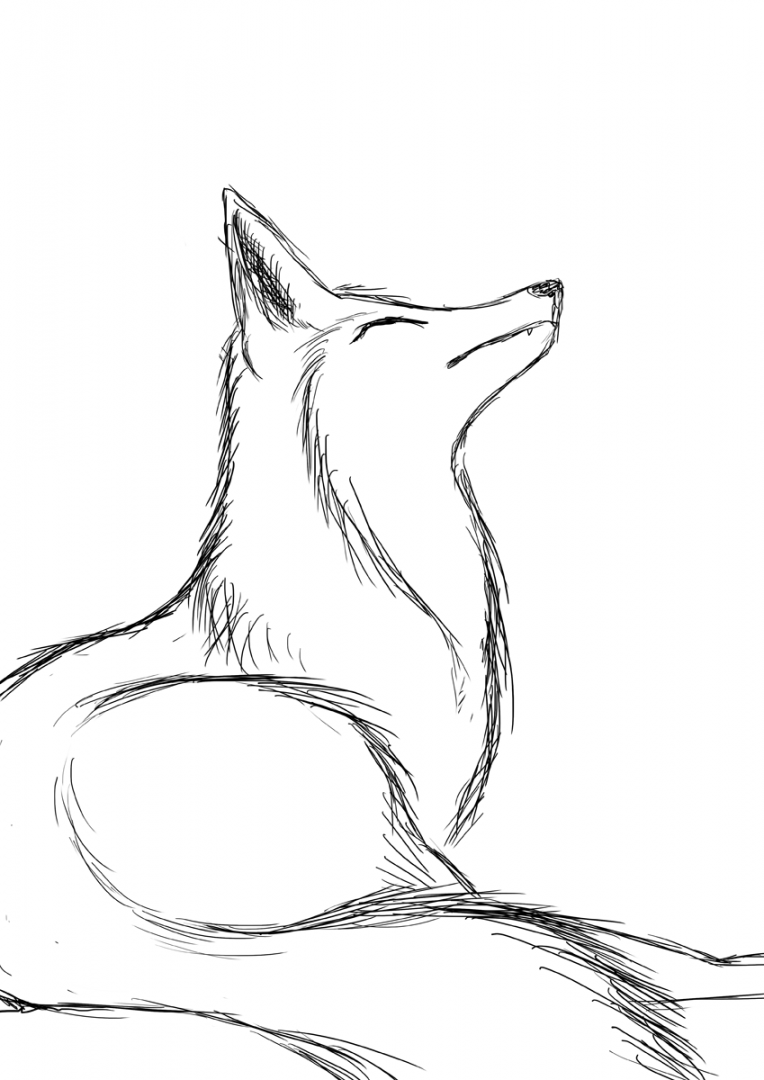 Fox sketch, Fox drawing sketches, Fox drawing