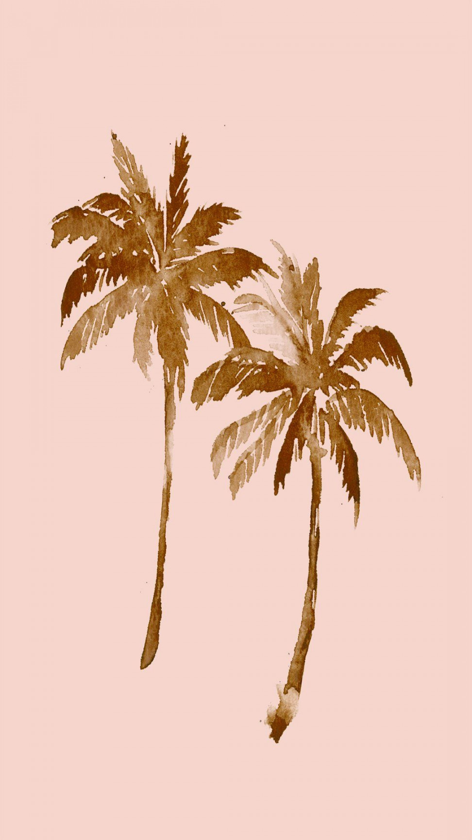 Free Download! Dress your tech with Palm Tree Wallpaper