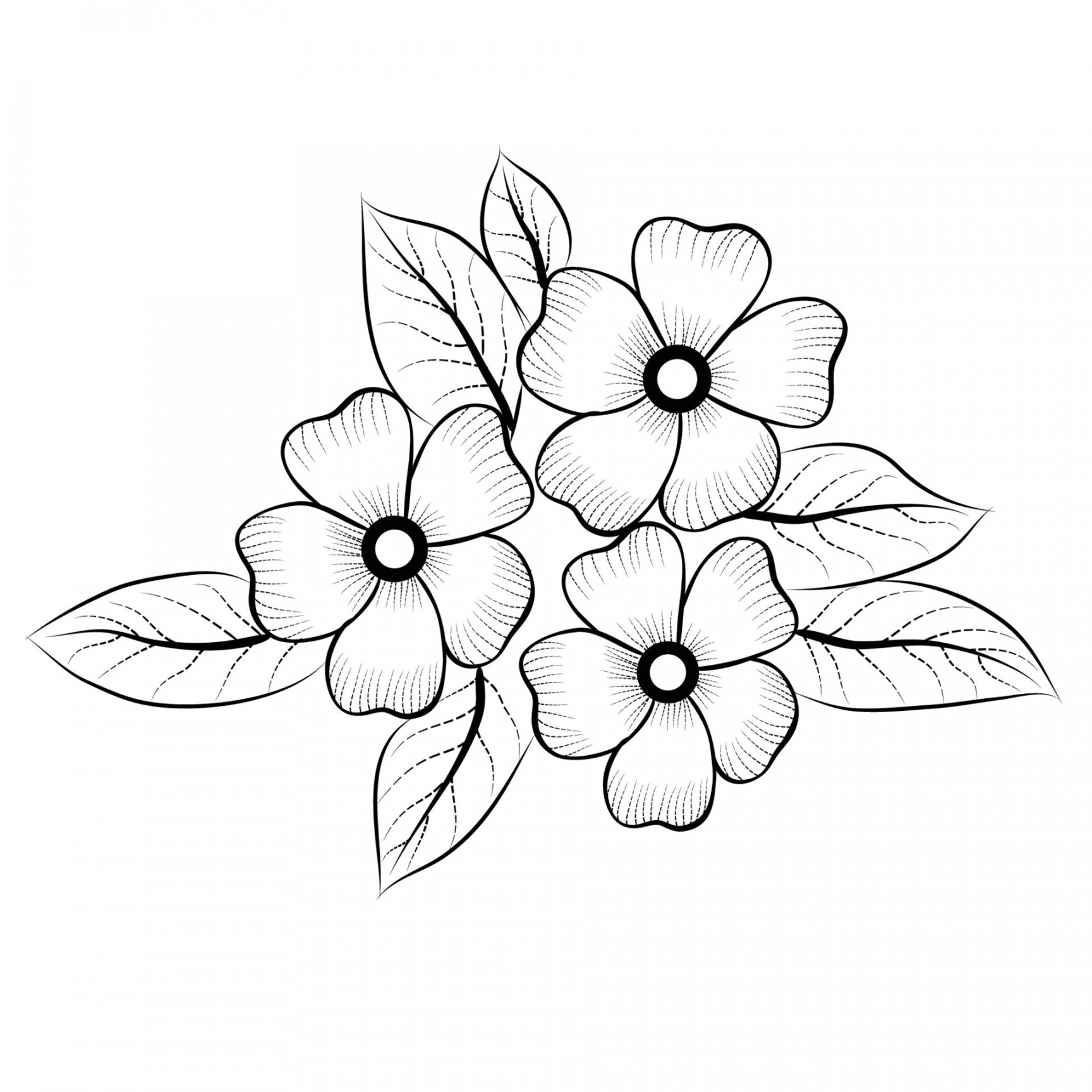 Free Vector line art and hand drawing flower art black and white