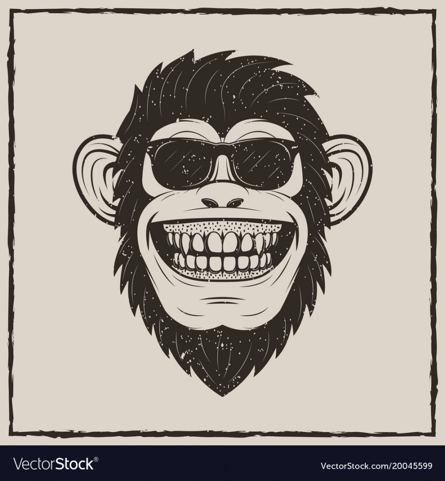 Funny monkey in sunglasses grunge t-shirt Vector Image