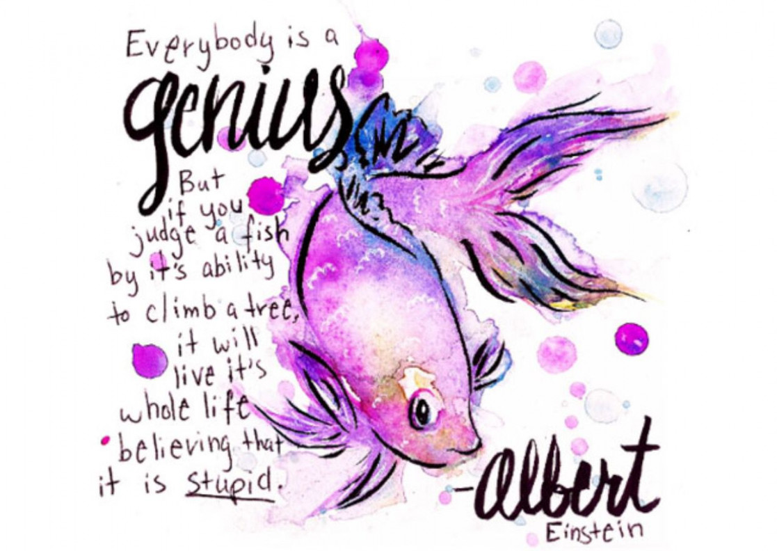 genius  Albert einstein fish quote, Einstein fish quote, Einstein