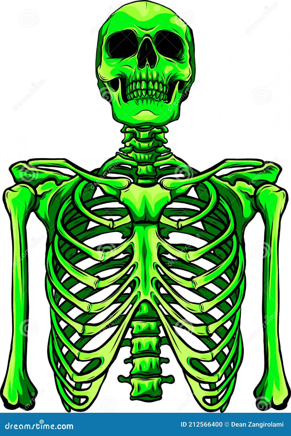 Green Human Skeleton on White Background Vector Illustration Stock