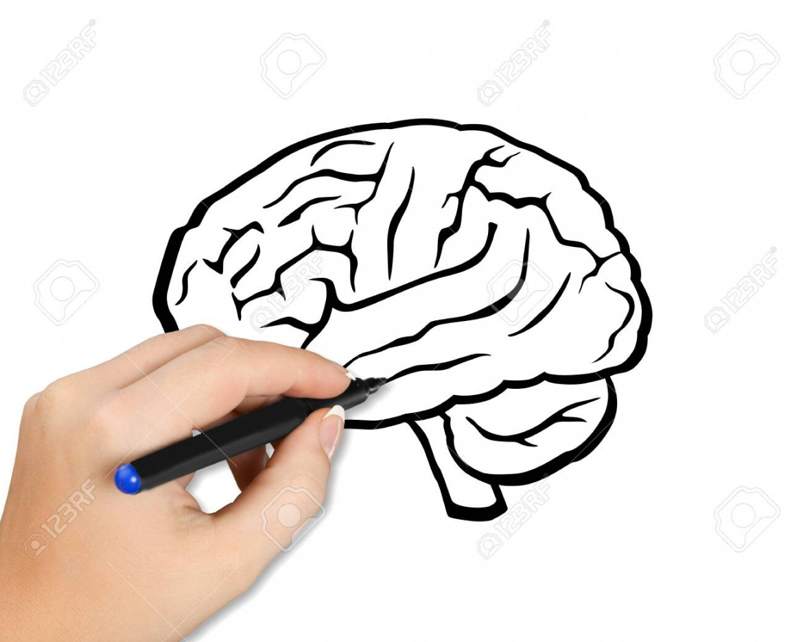 Hand Drawing Brain Sketch Stock Photo, Picture and Royalty Free