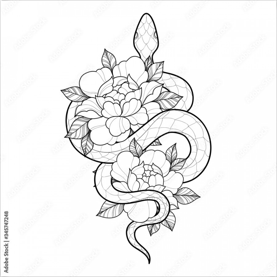 Hand drawing outline snake with flowers