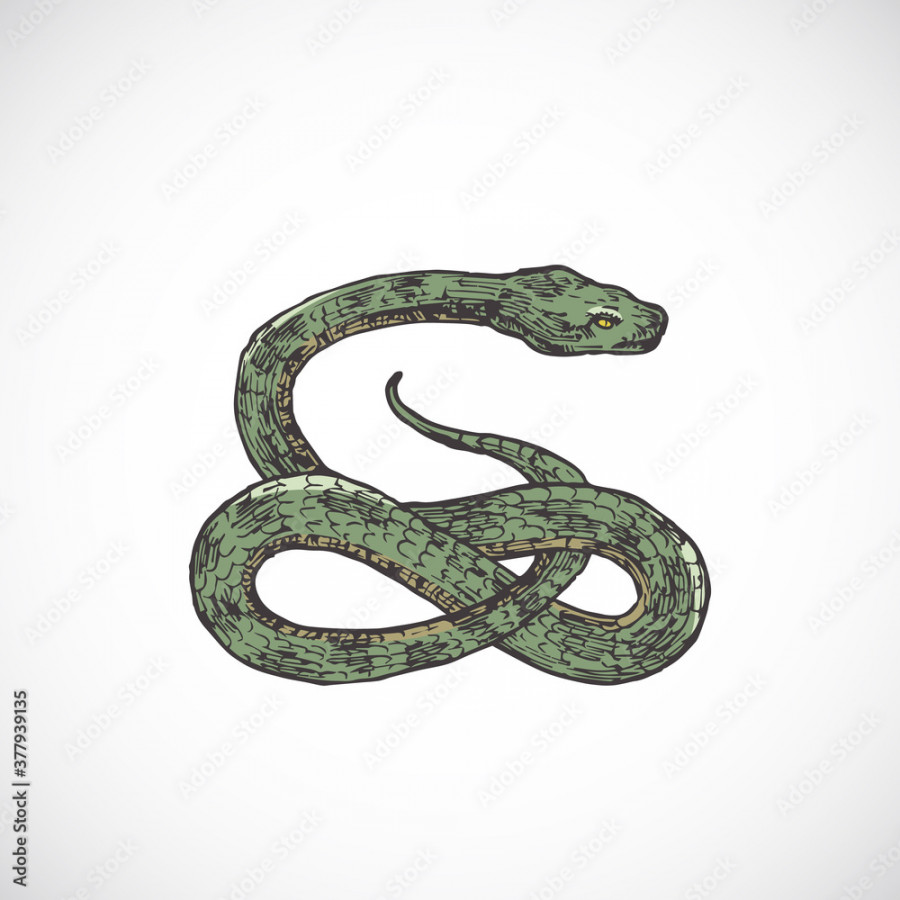 Hand Drawn Colorful Halloween Scary Snake Vector Illustration