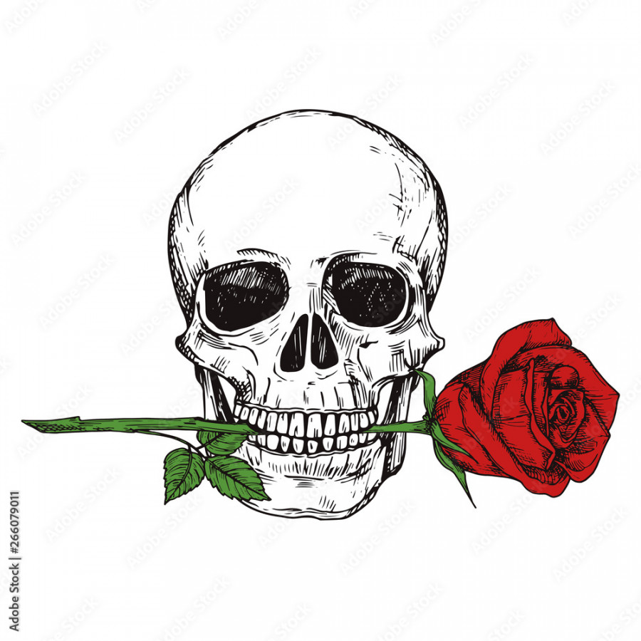 Hand drawn happy human skull with red rose - sketched skull