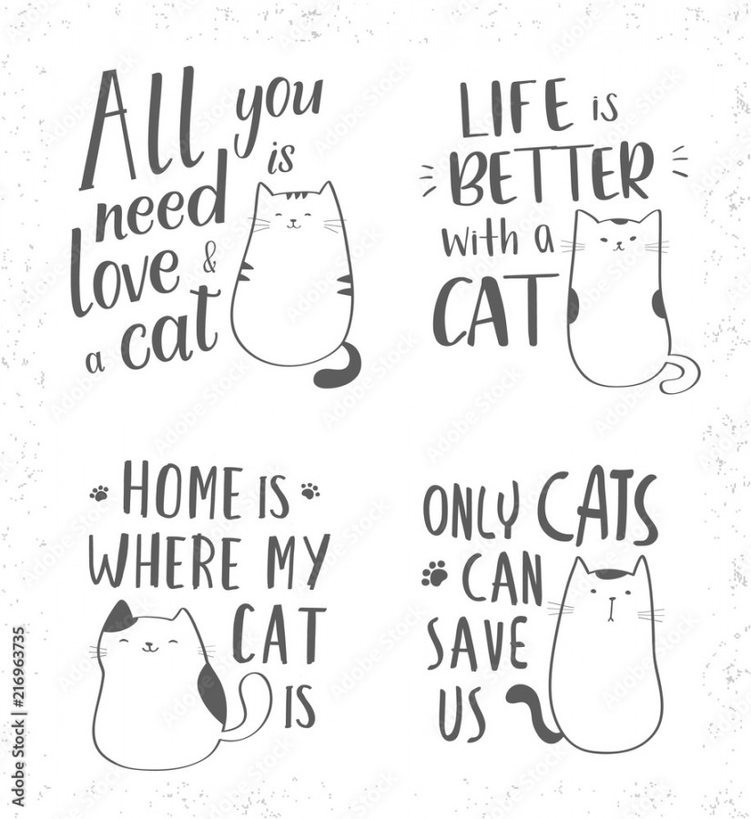 Hand drawn lettering quotes about cats