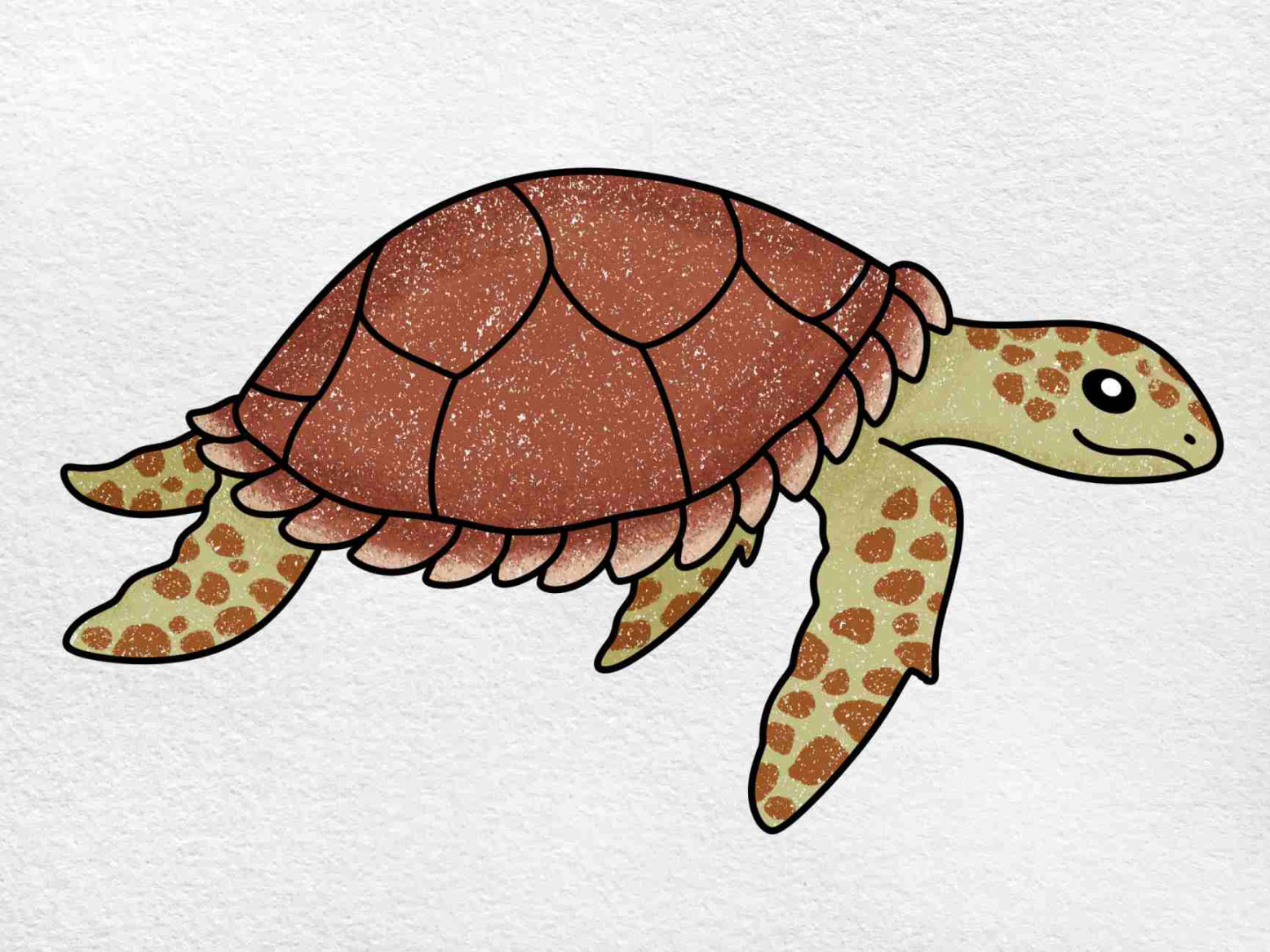 Hawksbill Turtle Drawing - HelloArtsy